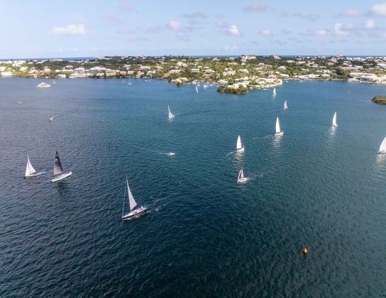 A group of boats are sailing on the hamilton harbour.
